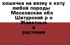 кошечка на вязку к коту любой породы  - Московская обл., Шатурский р-н Животные и растения » Кошки   
